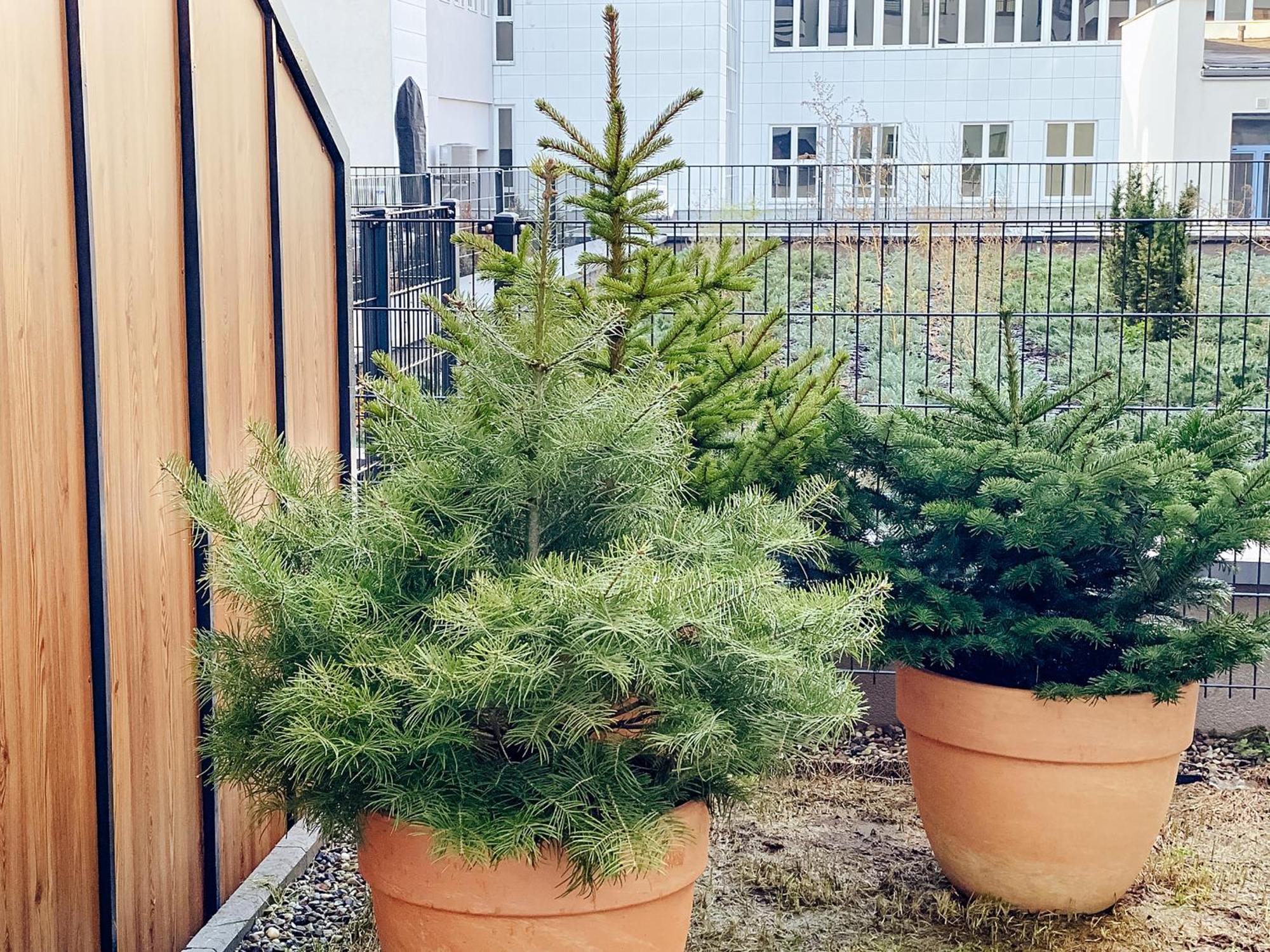 One Apartamenty Gasiorowskich 4 Πόζναν Εξωτερικό φωτογραφία